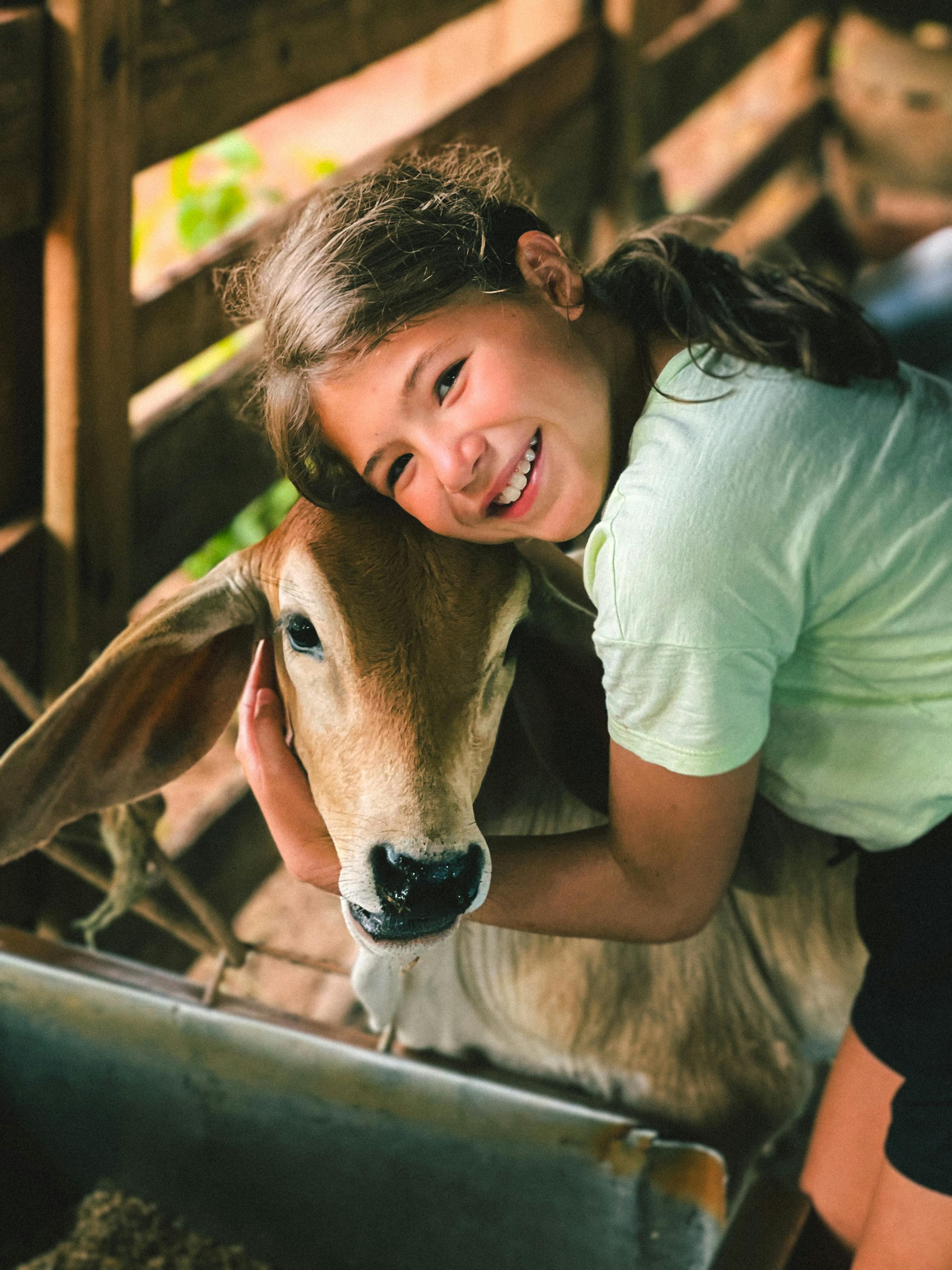 pexels-gabriel-betini-2155230674-33613223